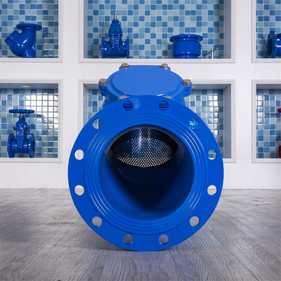 Ggg40 Flange Type Strainer Wastewater DN200 Stainless Steel Threaded Y Strainer